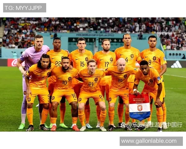 利比亚足球明星排名榜揭晓谁是足坛之星的真正王者