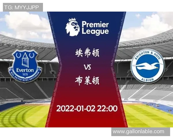 布莱顿与埃弗顿对决前瞻分析双方状态及战术布局探讨